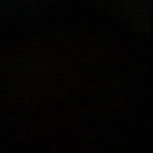 Meet your Posher, Dannie